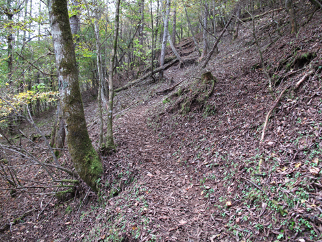 20171012hike (182)